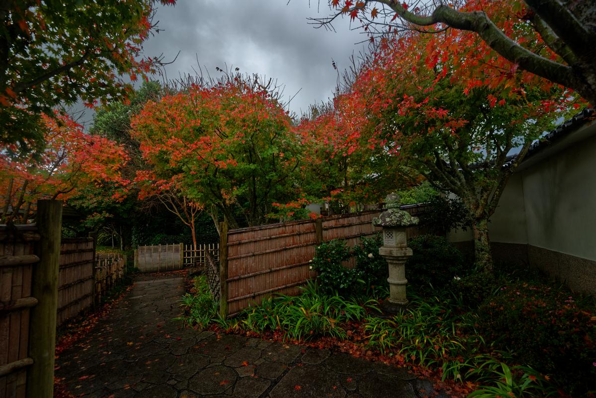 Joe Tadashi Jokagi Whispers of Japan, Far From Home